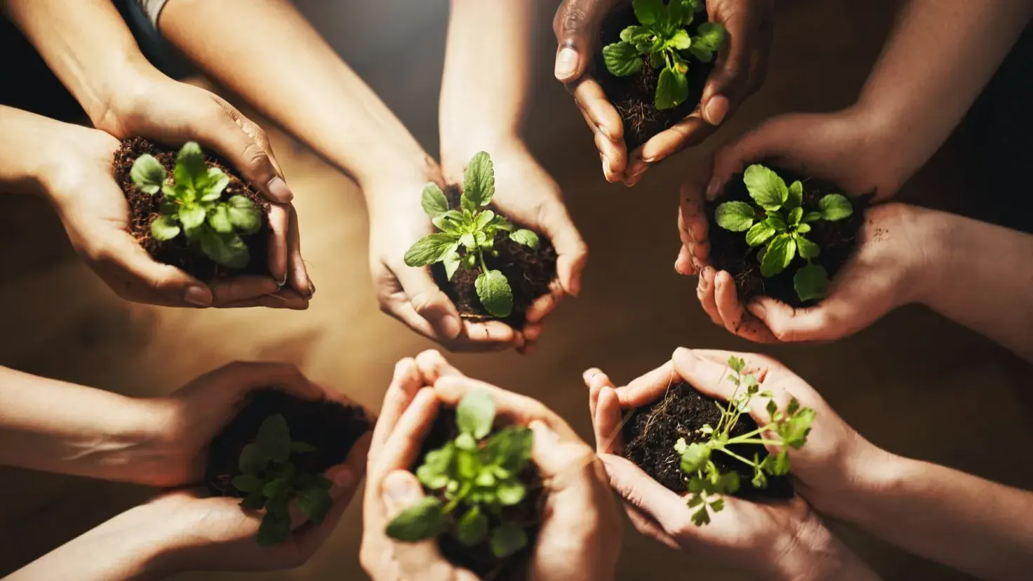 Desde huertos urbanos hasta innovación para reducir emisiones, Manos en Acción reunió a estudiantes, docentes y comunidad para crear soluciones sostenibles que trascienden las aulas.
