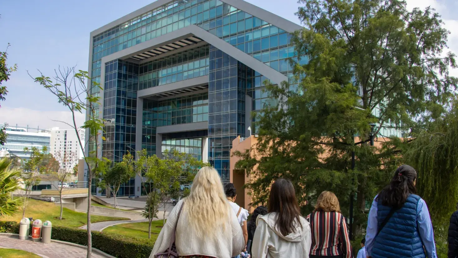 Profesores caminando por las áreas verdes del Campus SLP.