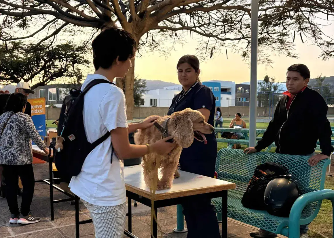 Cuidado animal, campaña vacunación para mascotas en PrepaTec Santa Anita.