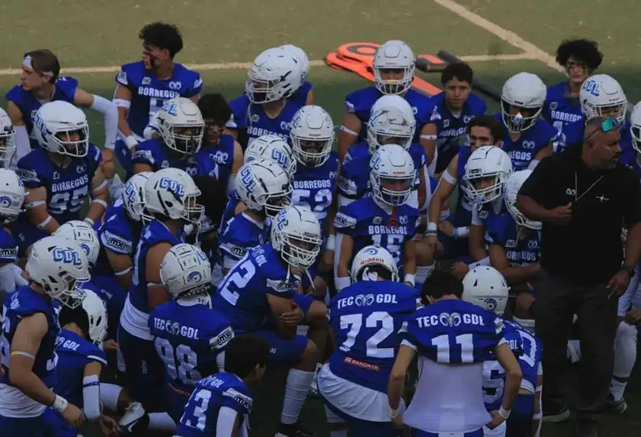 onefa