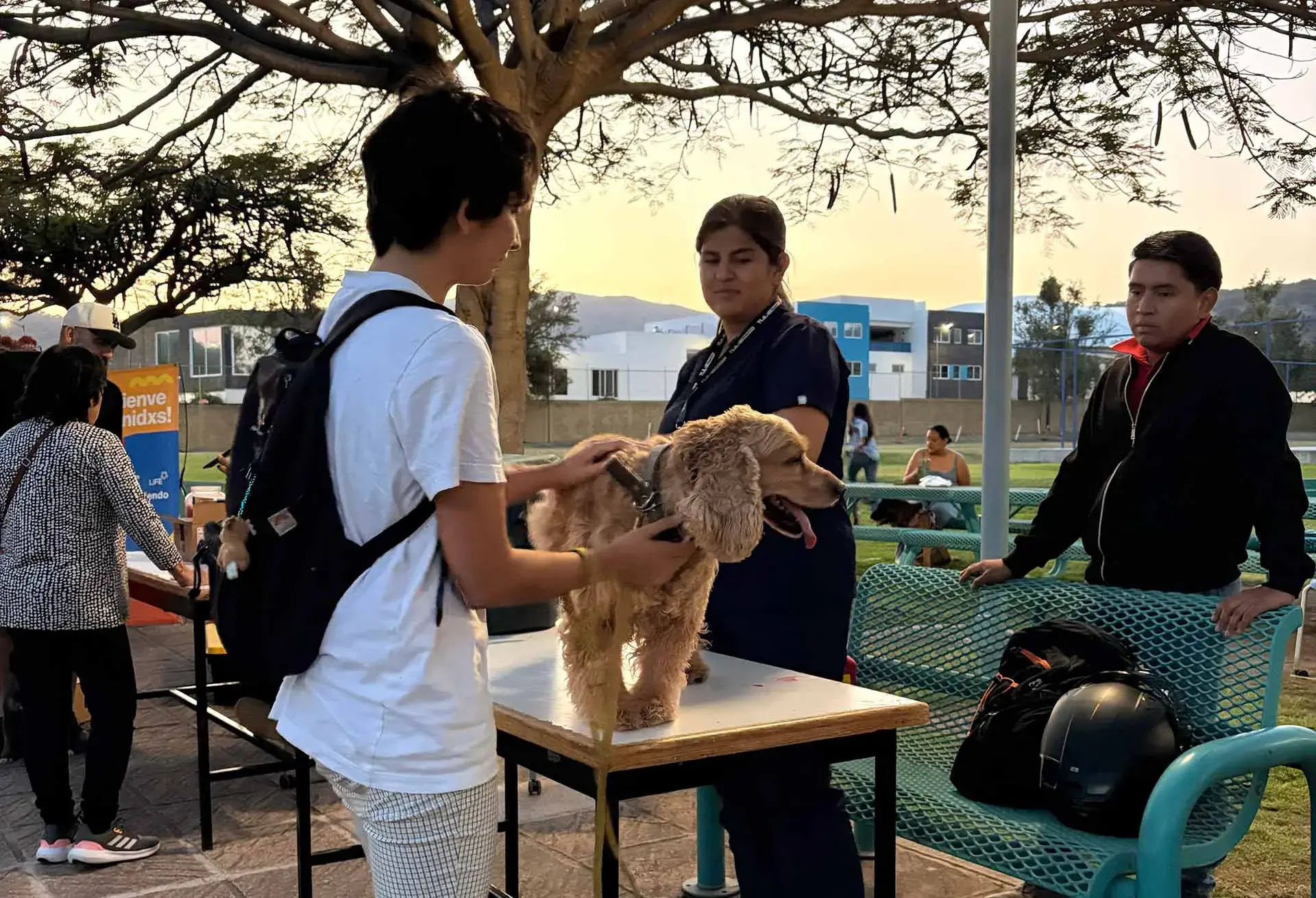 Cuidado animal, campaña vacunación para mascotas en PrepaTec Santa Anita.