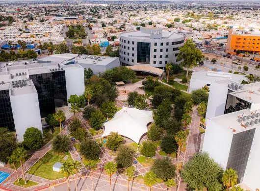 El Tec de Monterrey campus Laguna realiza esfuerzos en materia de sostenibilidad