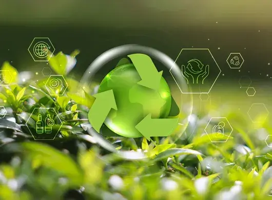 La Tríada y la sostenibilidad 