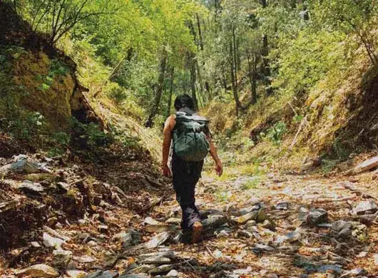 EXATEC de Arquitectura formó parte del equipo del Tec que presentó una iniciativa de “laboratorios vivos” en la Bienal de Venecia. 