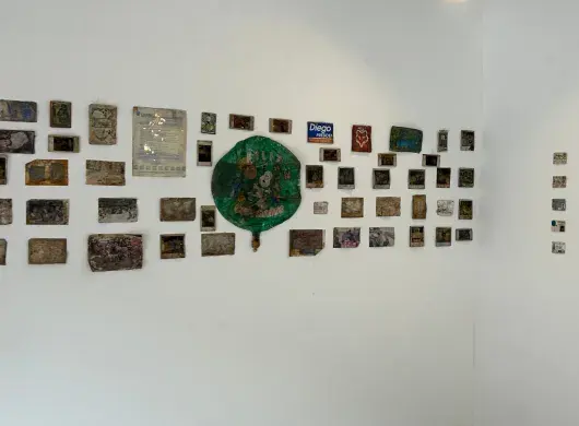 Exposición de los objetos contenidos en la cápsula.