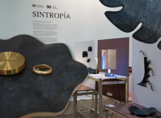 Sintropía en Zona Maco 2026