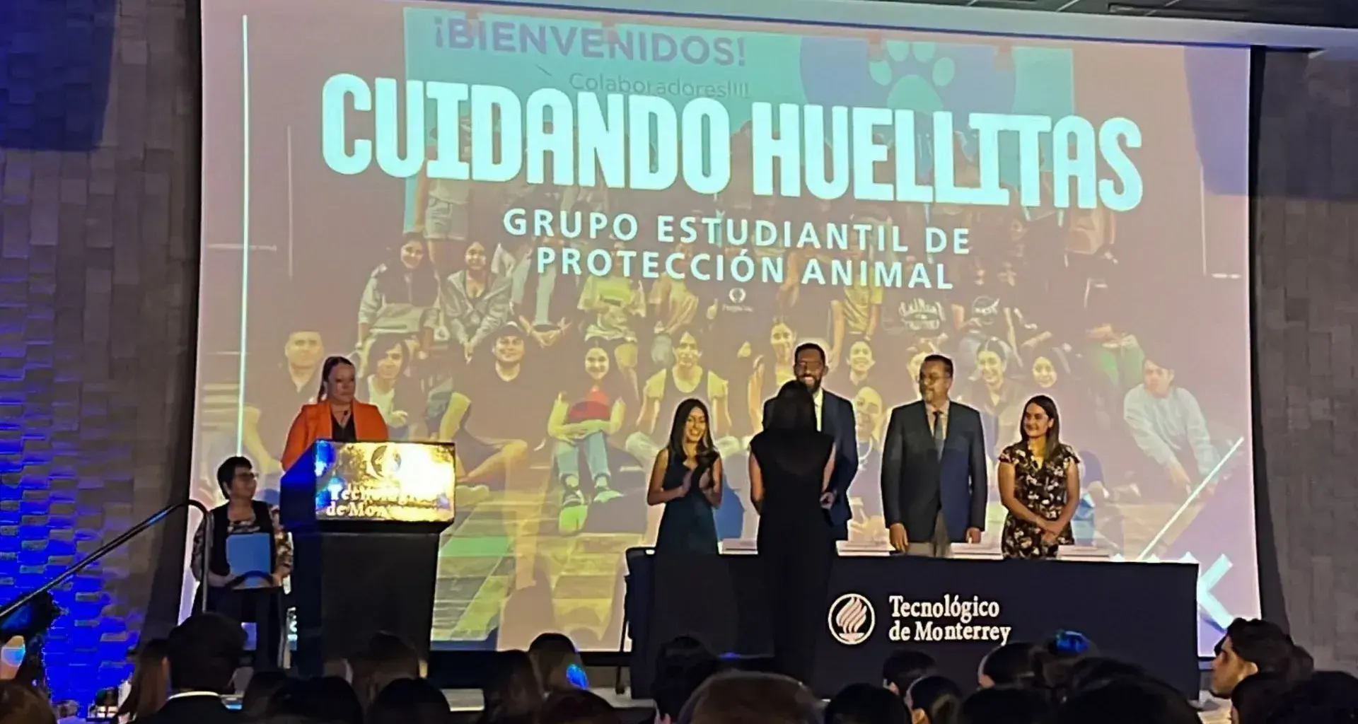 Cuidando Huellitas informes Grupos Estudiantiles