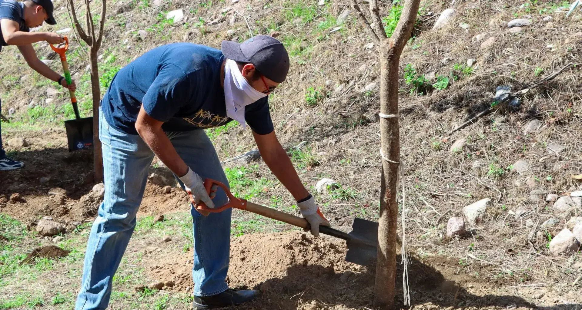 Miembro de la comunidad Tec campus León plantando un árbol.