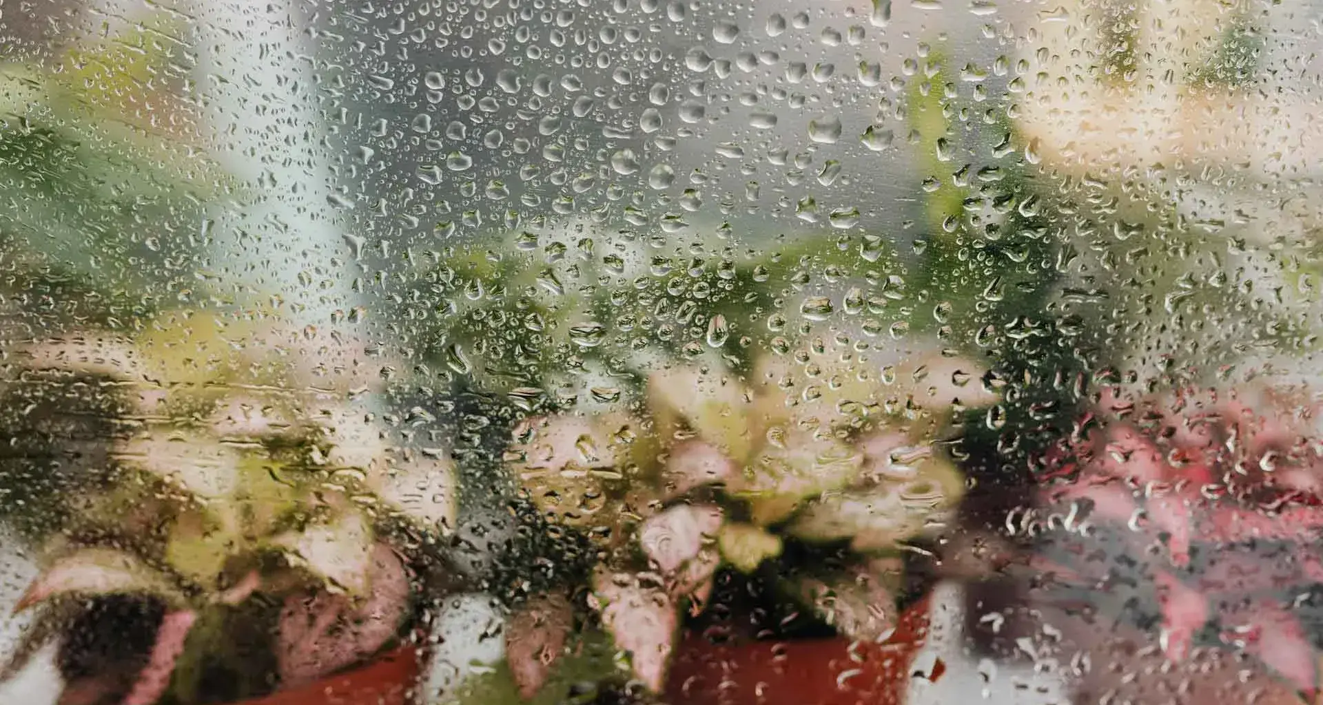 Alumnos del Tec en Santa Fe crearon dispositivo que busca aprovechar humedad ambiental para cosechar agua