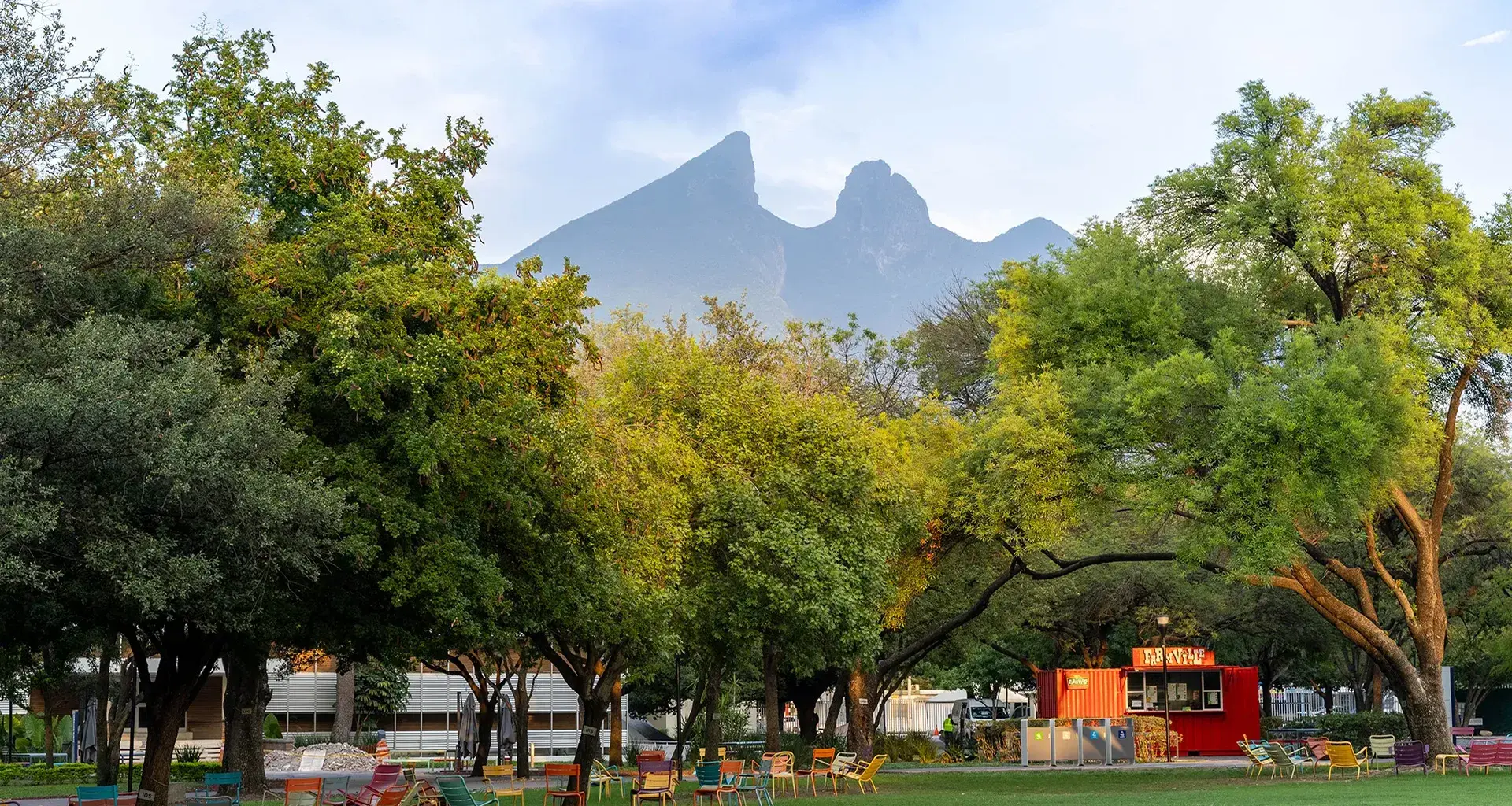 The importance of trees at the Tec