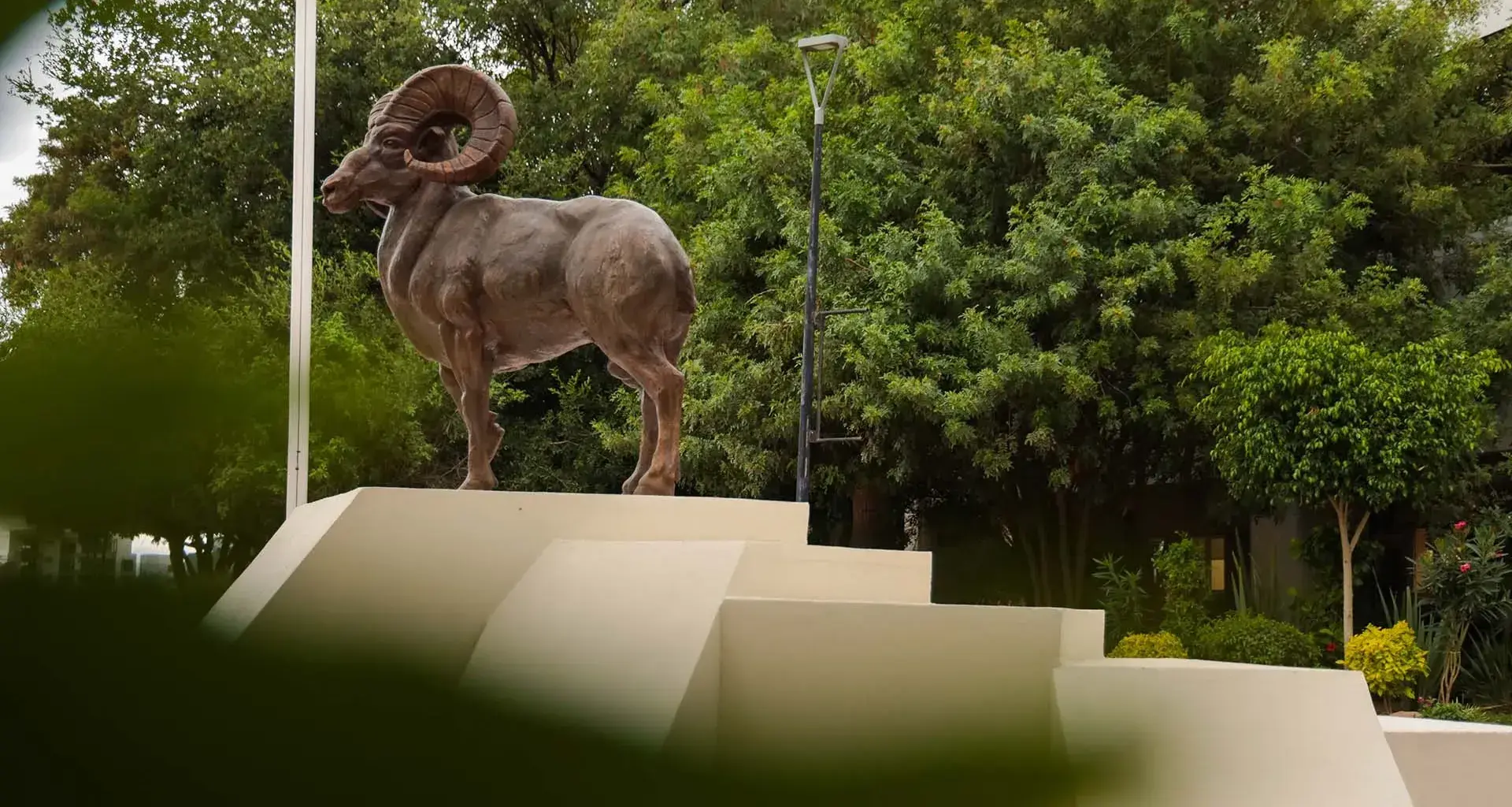 Certificación STARS Tec Aguascalientes