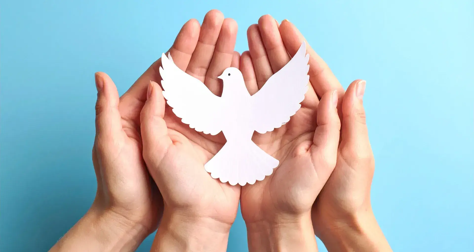 Personas sosteniendo un dibujo de una paloma blanca