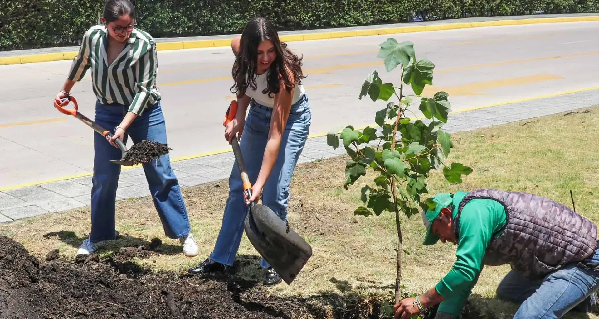 Comunidad de PrepaTec Santa Fe planta árbol de manitas, especie amenazada