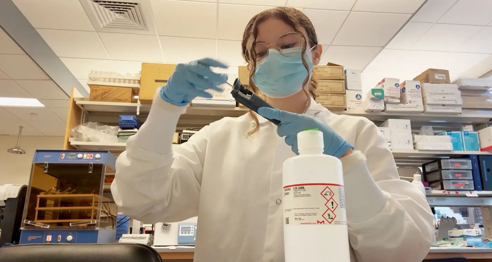 Investiga en Harvard para entender el Alzheimer