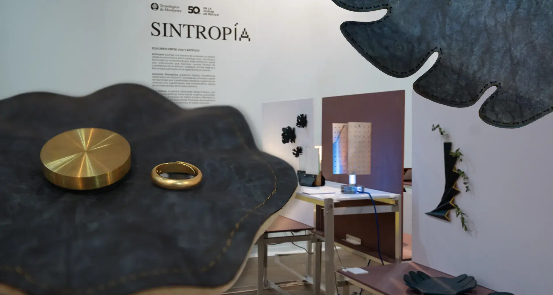 Sintropía en Zona Maco 2026