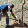 Miembro de la comunidad Tec campus León plantando un árbol.