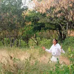 alumno tec rezando en el parque 