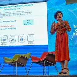 Investigadores Tec comparten ideas innovadoras vs obesidad