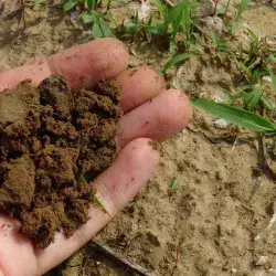 Gestion de residuos y generación de composta en el Tec Guadalajara.