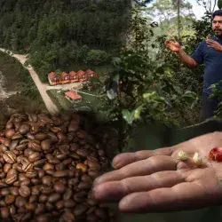 Cabañas de turismo en Chiapas