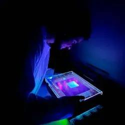 Estudiantes del Tec proponen una alternativa ecológica para frenar el dengue en Singapur