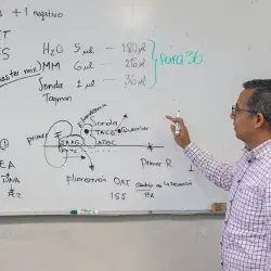 Profesor mexicano del Tec de Monterrey campus Laguna explica cómo los datos y la salud pueden trabajar juntos