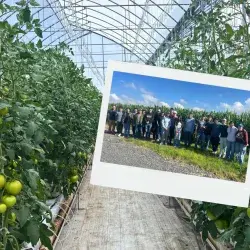 Alumnos desarrollan proyectos en innovación agrícola en el Centro de Agricultura Experimental 