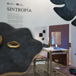 Sintropía en Zona Maco 2026