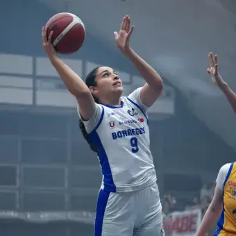 Borregos Campeones Ocho Grandes