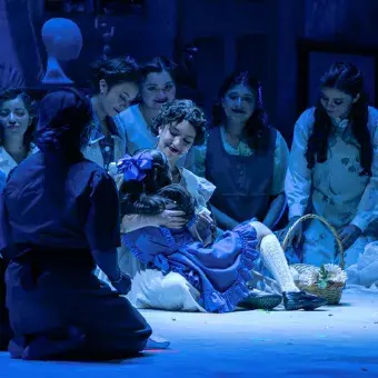 La Chica que Olvidó su Zapato