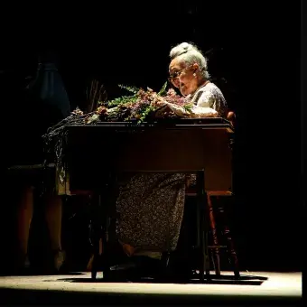 La Chica que Olvidó su Zapato